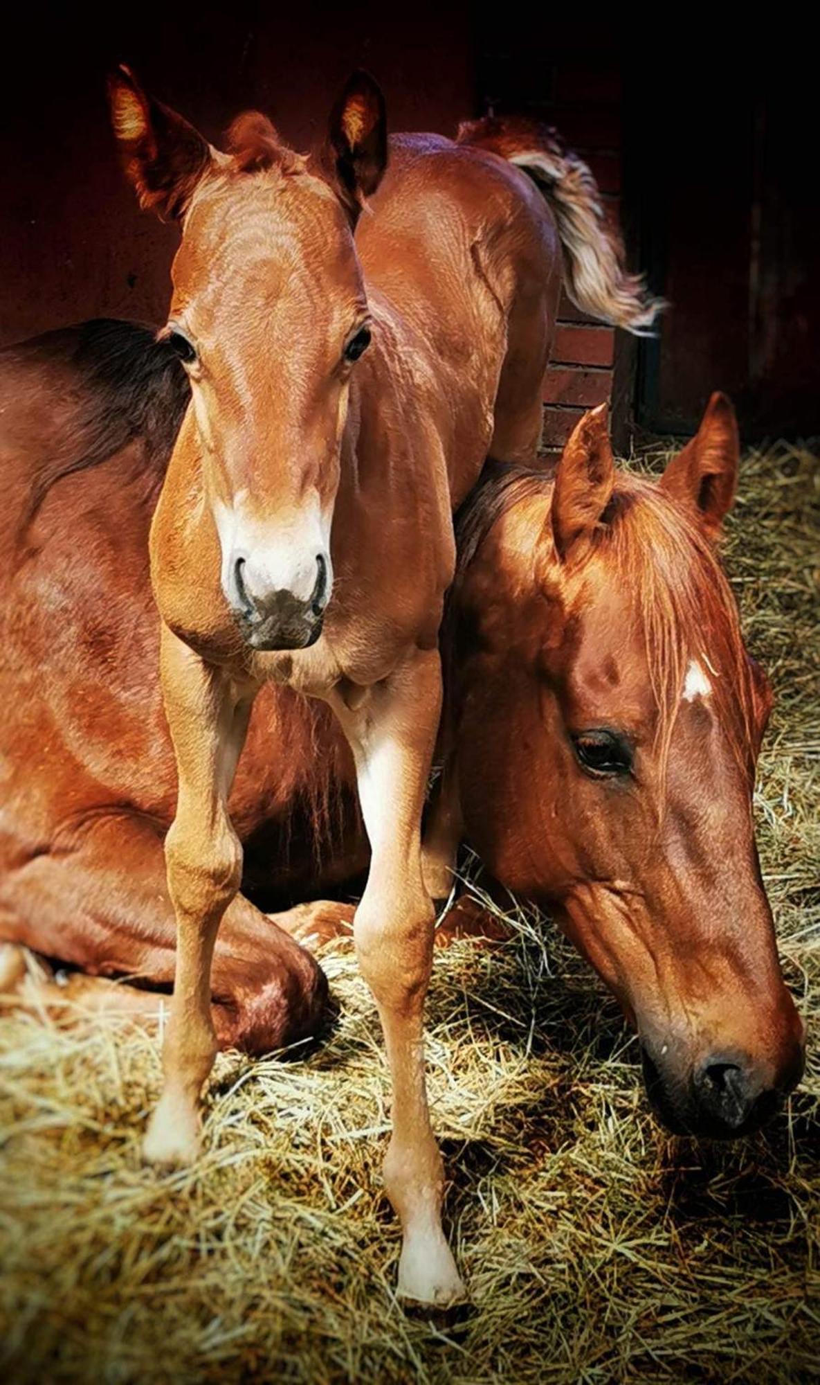 Campoverde Grabina Esterno foto
